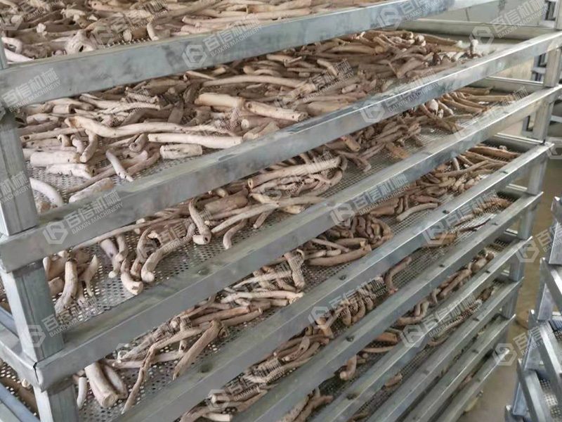 白術(shù)烘干機2