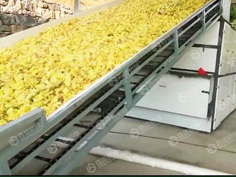 金花葵烘干機(jī)2